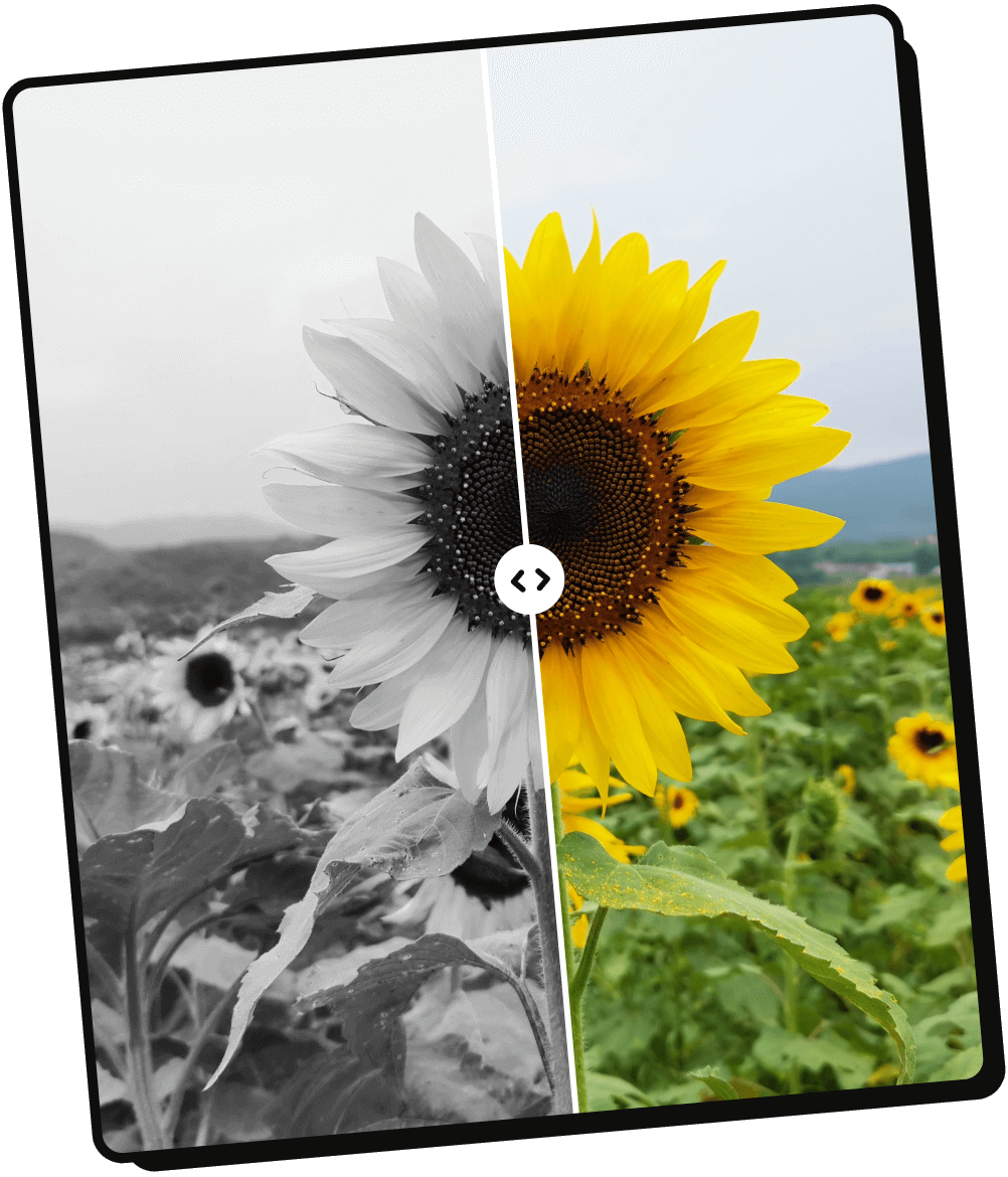 Al Photo Editor – M.C. Holdings